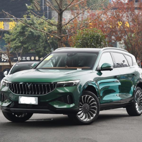 VOYAH Free 2021 Two Drive Pure Electric Version SUV