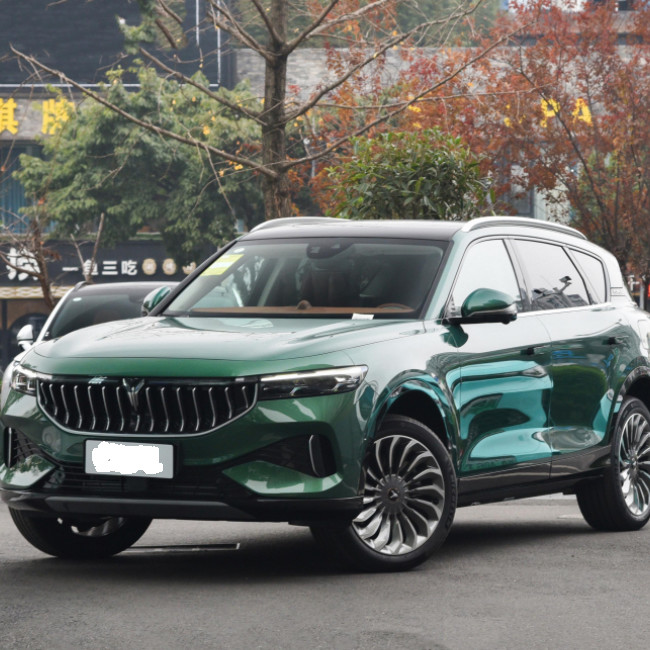 Середина версии SUV свободного 2021 2 привода VOYAH чистая электрическая большая