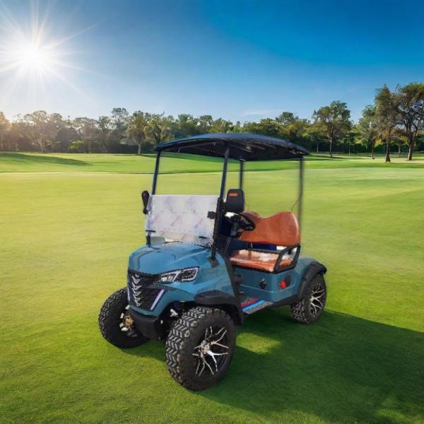 GCC Market 4 Seater Electric Golf Cart with High Grade Ability and Convertible Design