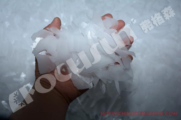 Focusun 10T Air Flake Ice Making Machine with Other Core Components Voltage 220V-440V