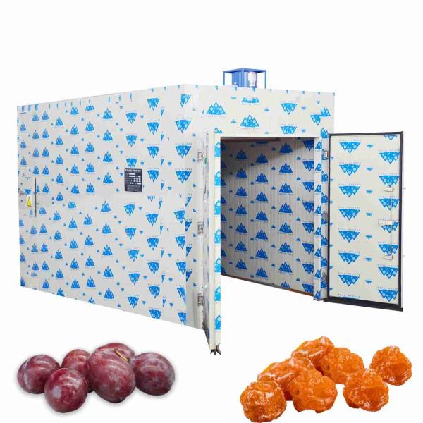 1000KG 26Kw PLC Ume Prunes Heat Pump Food Dryer Berry Fruit Tray Dryer