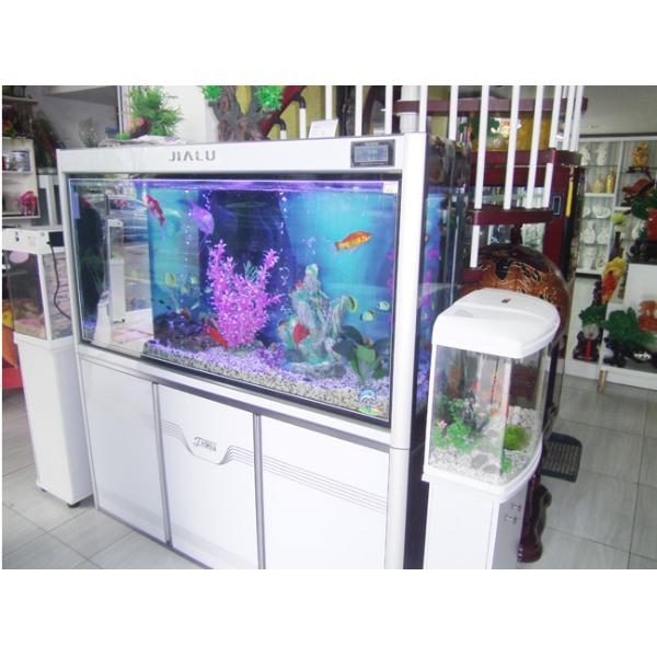 Aluminio que dosifica la bomba de aire silenciosa del acuario para la detección atmosférica