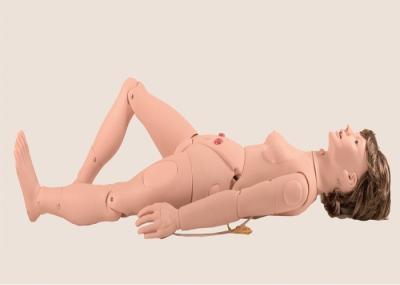 Craniocerebral Trauma PVC First Aid Training Manikins