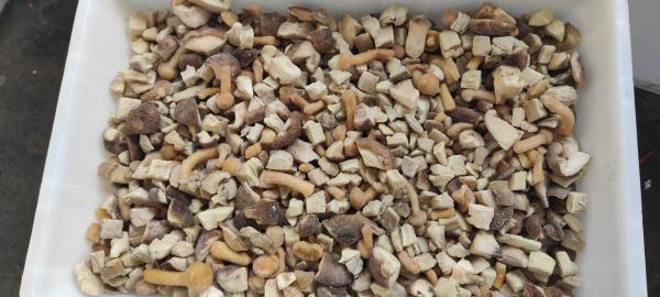 2025 New Crop high quality frozen mixed mushrooms Frozen