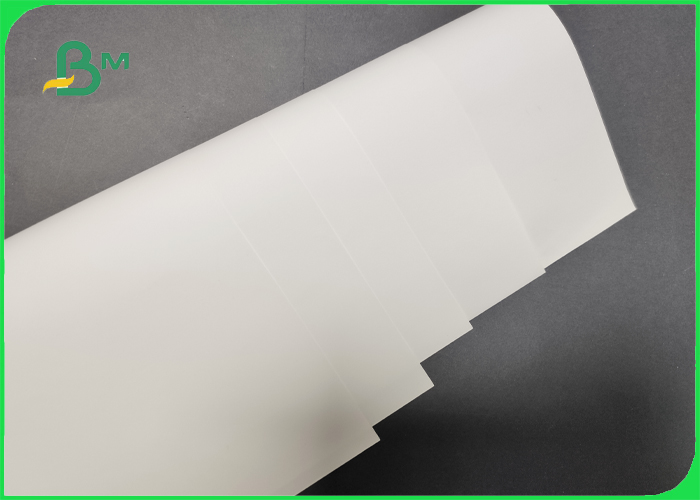 FSC Approved 150gsm White Brochure Paper Roll For Advertisting Glossy Блестящая или матовая карточная бумага 150-300 гм для рекламы белых брошюр