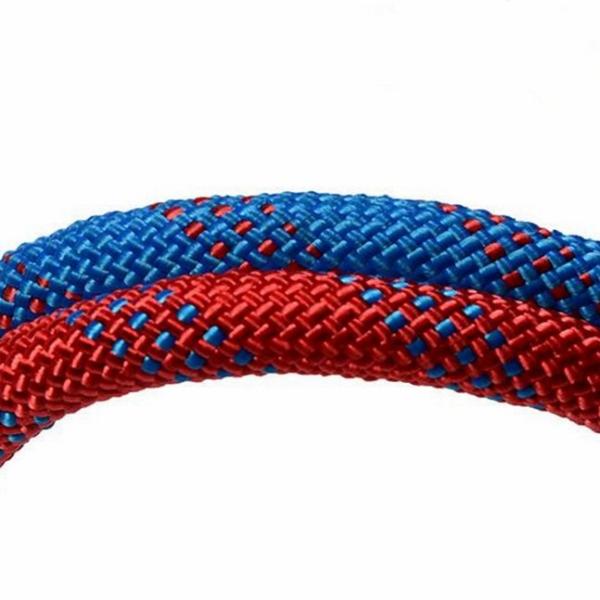 Outdoor Rock Climbing Rope 2~20mm Nylon Rope 50ft With Carabiners