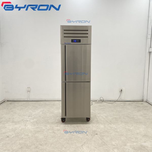 Business Food Glass Door Display Freezer Upright Display Freezer Customized Logo