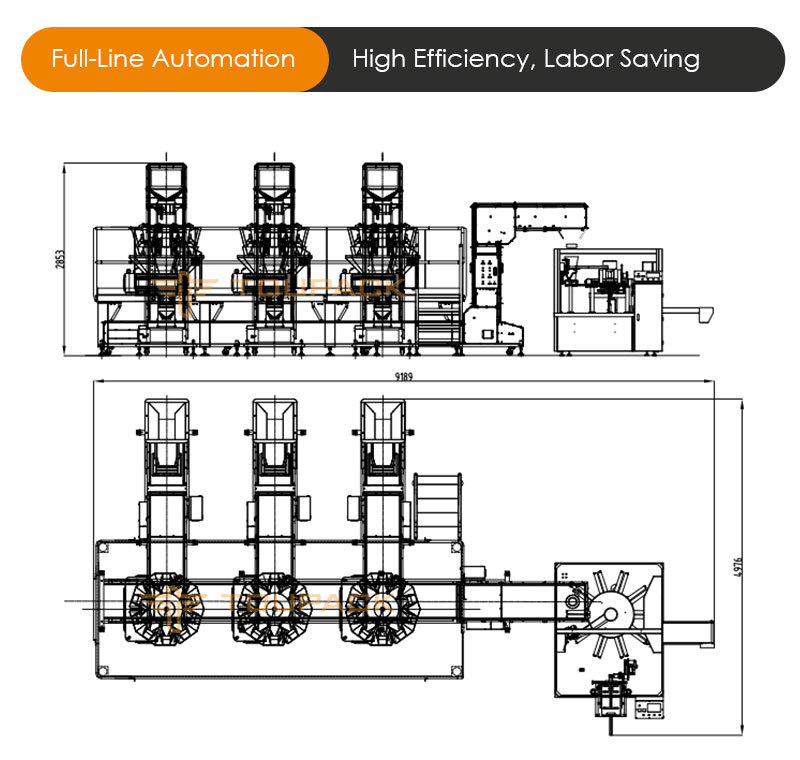 Complete Pet Food Packaging Line | Automatic Weighing & Packing System