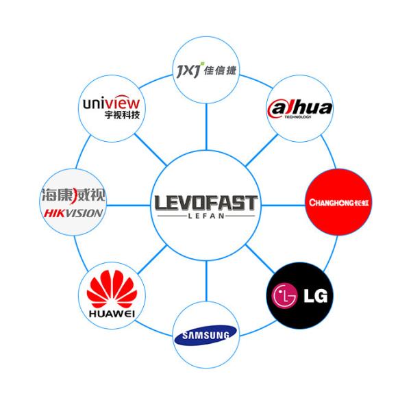 Shenzhen Lefan Electronics Co., Ltd.