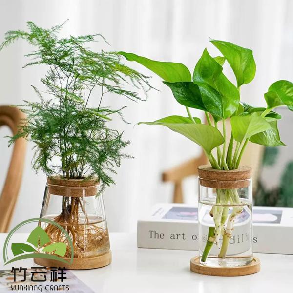 Customized Wood Holder Desktop Plant Glass Vase Plant Propagation Terrarium