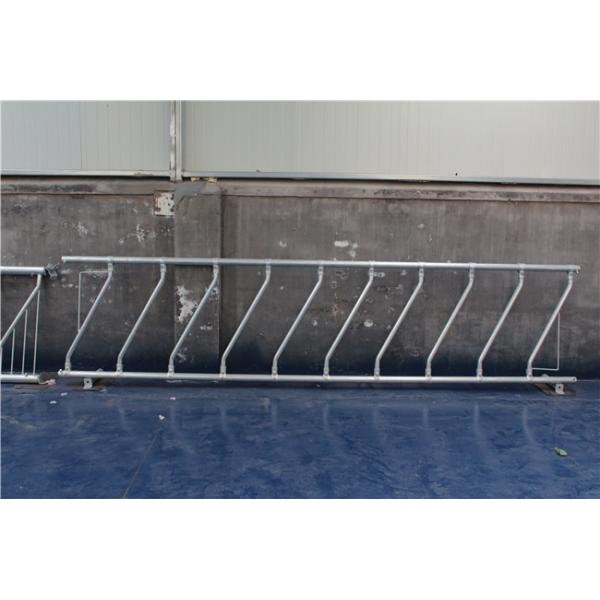 Les bétail matériels de tuyau d'acier alimentent des barrières faciles de