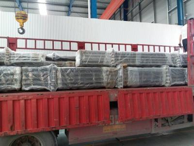 Tipo fixo otário Rod Pump de API Tubing Pump Series Downhole