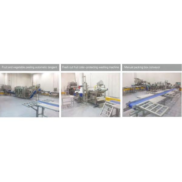 Fresh Cut Vegetable Canning Equipment Stainless Steel IP65 Protection Grade