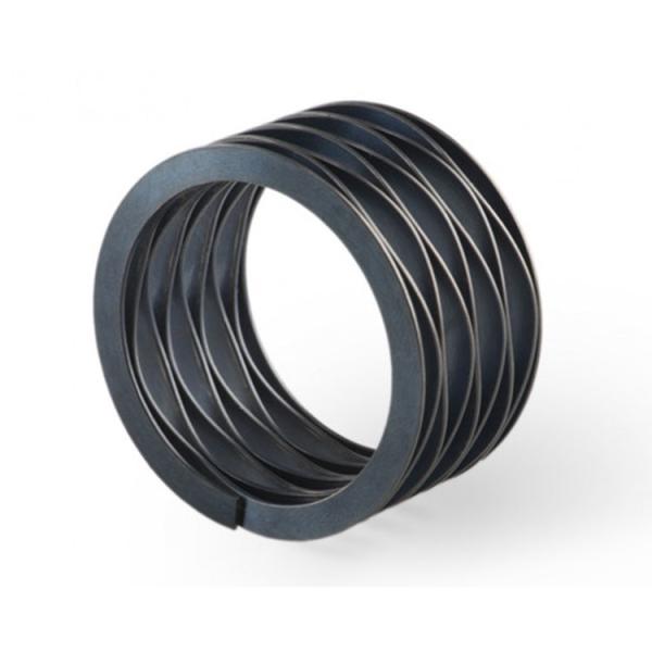 Mechanical Seal SUS304 1.0mm Nested Wave Spring