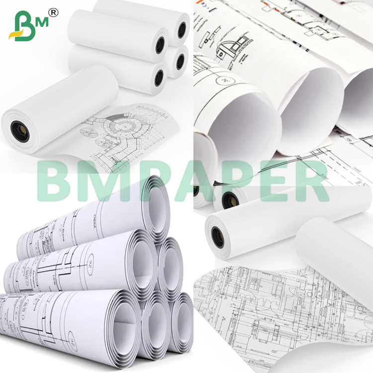 610mm Width CAD Plotter Paper Rolls for Technical Drawing