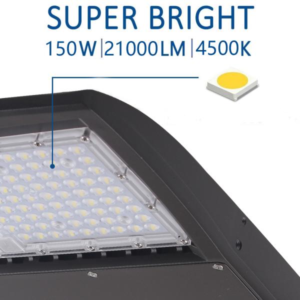 150W Led Shoebox Light Street Light Sports Court with 5 Years Warranty IP65