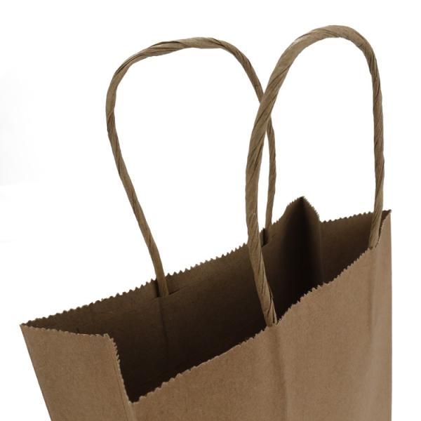 Custom Logo Recyclable Paper Bags Eco Friendly Kraft Paper Bag With Twisted Handle