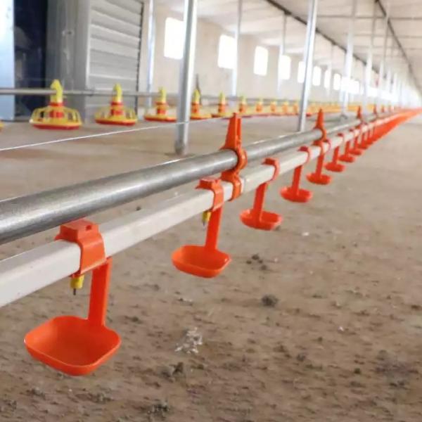 Chicken Drinking Automatic Pan Feeding System For Poultry Farming Equipment