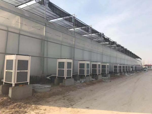 Customized 220-380V Water Cooled Cold Storage Unit 100mm Colorbond Industrial Freezer Room