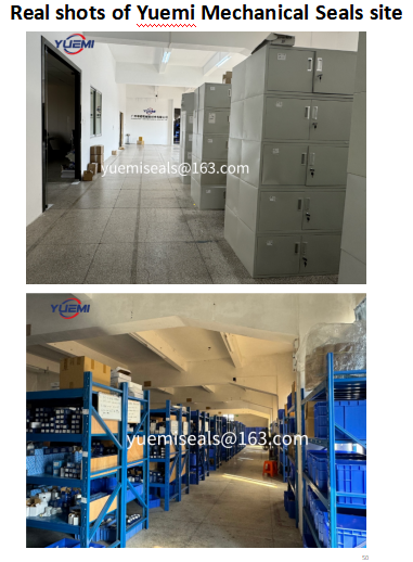 Mechanical Seal Replacement Of AES T05 Flygt Pump Seal Itt Pump Seal Grindex Mechanical Seal