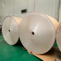 do PE de papel do rolo 1200mm do jumbo 300g papel revestido na polpa química do rolo