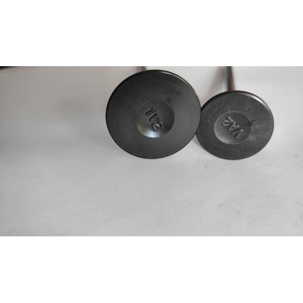 Nissan X-Trail MR20 Car Engine Valves Exhaust 13202-EN200 13201-EN20B 13201-EN20C 13202-EN20B 13202-EN20C