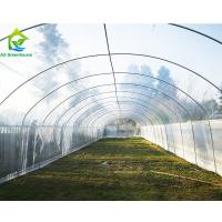 Serre chaude hydroponique commerciale agricole de Polytunnel pour la culture de champignon