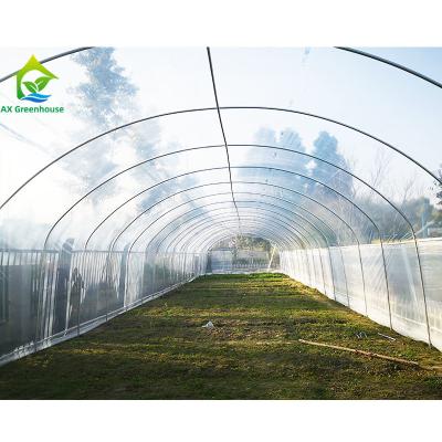 Estufa hidropônica comercial agrícola de Polytunnel para o cultivo do cogumelo