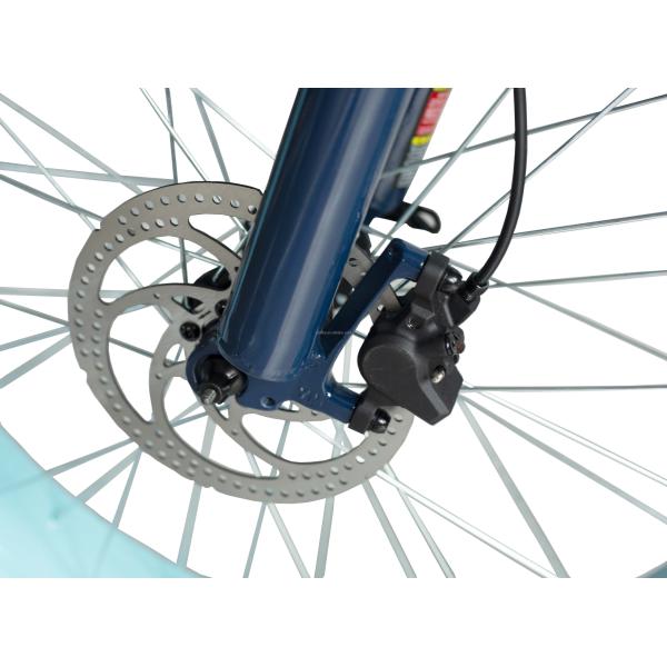 Front Hub Motor Electric Rickshaw with 48V 750W 17AH Lithium Battery and Big Fat Tire