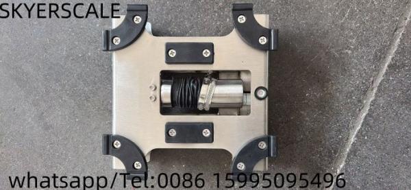 304 Stainless Steel  Bench Scale Small Industrial Weighing OEM/ODM/OBM Supported
