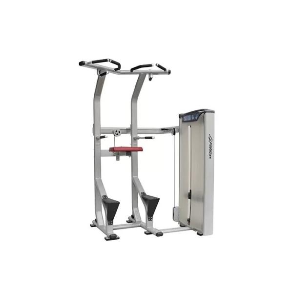 Assisted Dip Chin Strength Training Machine , Professional Matrix Bodybuilding Equipment