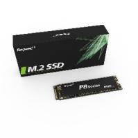 Ordinateur portable/disque transistorisé de bureau 2261XT PCIE 1TB de m2 NVME de série de Faspeed P8