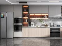Type de porte de shaker Fabrique de cuisine Foshan Fabricant Matt White Armoire de cuisine