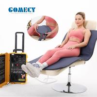 Máquinas de fisioterapia PMST LOOP PEMF para o corpo humano Dispositivo de magneto-terapia para alívio da dor