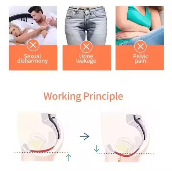 Urinary Incontinence Recovery Non Invasive Ems Sculpting Chair