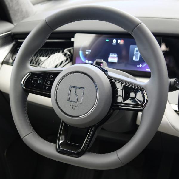 2022 coche dual eléctrico de la todo-rueda-impulsión EV del motor de los asientos MPV de los vehículos 6 de la energía del coche ZEEKR 009