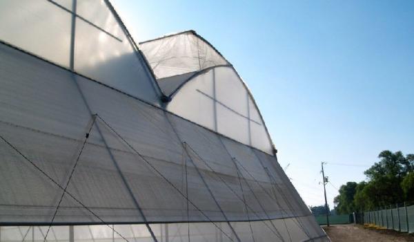 Sainpoly Multi Span Greenhouse Agricultural / Commercial / Industrial Plastic Film Greenhouse