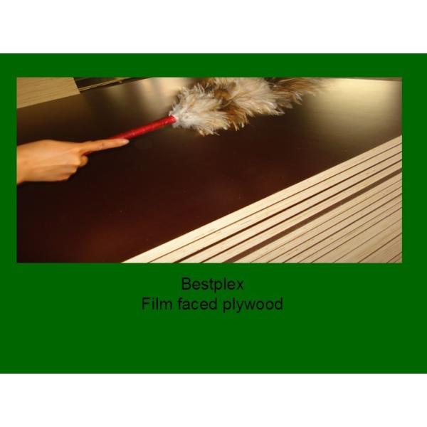 brown/black hardwood formwork plywood