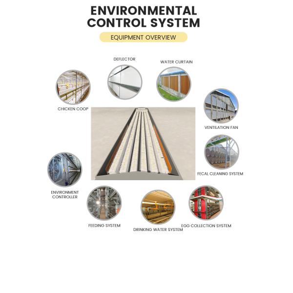 Hot Dip Galvanize Steel Automatic a Type Layer Poultry Farm Battery Chicken Cage for Chicken