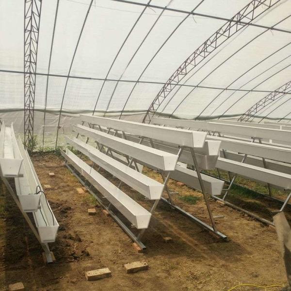 Sistema de cultivo hidropónico de morango Plantação vertical Cultivo de canaveira de PVC em ambientes internos para casa