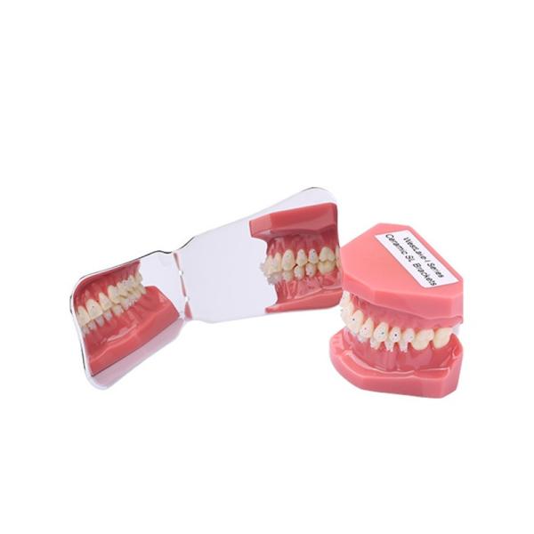 Espelho Intraoral branco da fotografia do anti espelho dental Endodontic oral da névoa