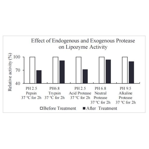Feed Additive Lipase Powder 50,000 U/G-300,000U/G