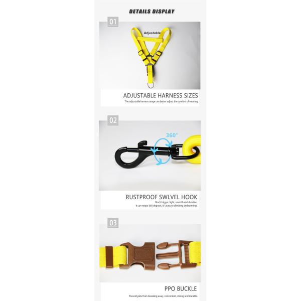 Fancy Dog Collar Harness And Leash Set For Daily Walking