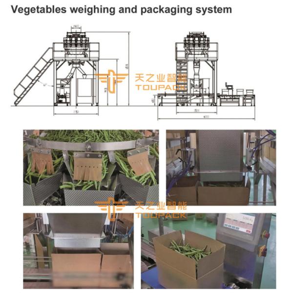 Combiweigh Multihead Weigher 500g 1kg 5kg Multihead Weigher Packing Machine Green Pepper Orange Packaging Machines For Cartons