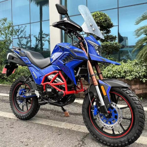 Professional Off Road Dirt Bike Motorcycle  Street Legal Fuel Efficient Customization