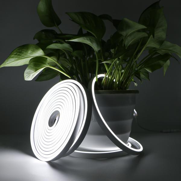 Luz de tira IP68 do diodo emissor de luz de Digitas RGB Flex Neon para o OEM exterior da decoração
