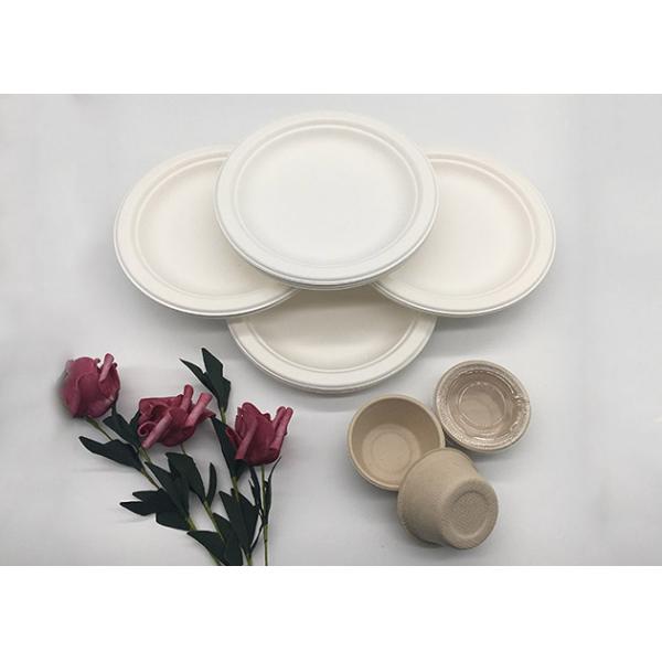 Biodegradable Disposable 6 inch sugarcane bagasse food Round Plates