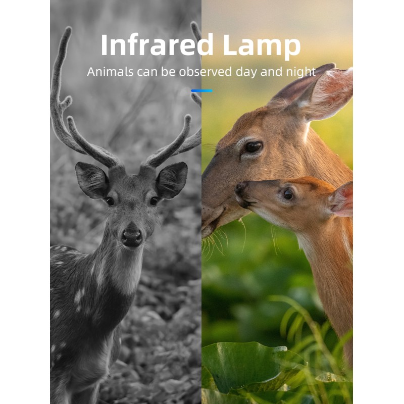 4G LTE Wireless Cellular Trail Camera with App for Deer Hunting &Videos on Any Phone Verizon, AT&T, Game Trail Camera 4G
