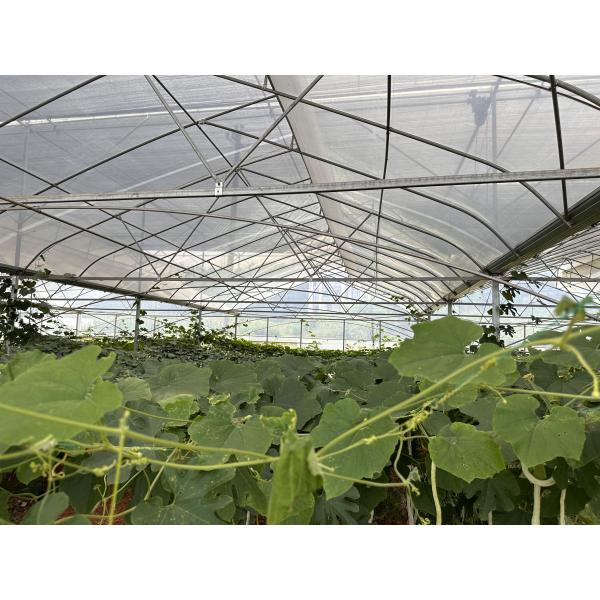 Cheap Good Price Plastic Film Tropical Tunnel House Single-Span Sawtooth Top Vent Greenhouse For Sale