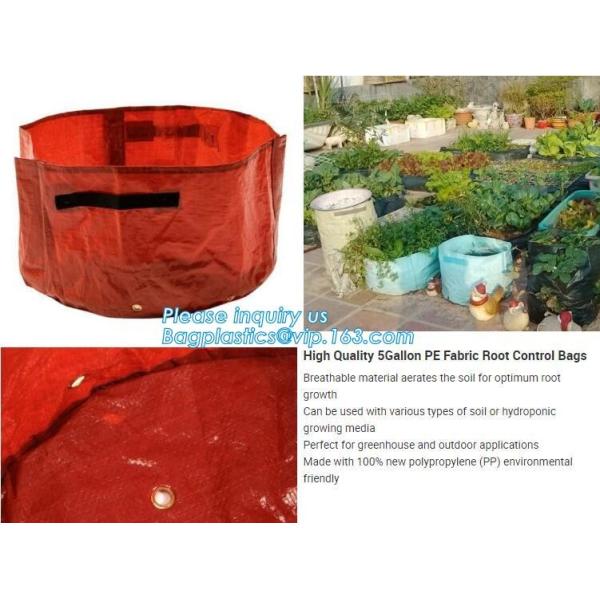 100 дерево тан галлона /200/300 растет сумка 100галлон растут сумка для деревьев завода, овощей растут сумки засаживая сумки растя сумки